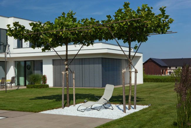 Garten minimalistisch modern